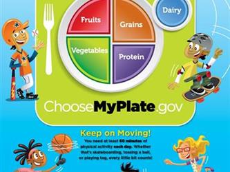 My Plate English